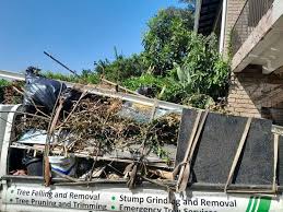 Professional Junk Removal Services in Nisswa, MN